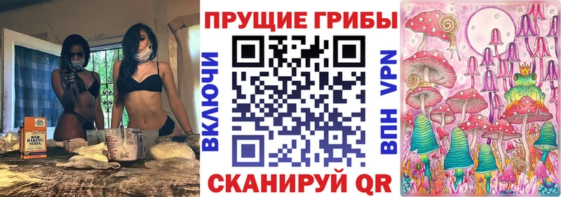 Псилоцибиновые грибы мицелий  Зуевка 